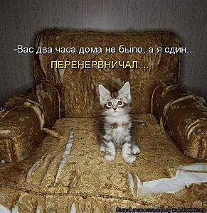 click for enlarge 582 X 600 68.4 Kb picture