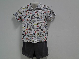 click for enlarge 800 X 600 82.2 Kb picture