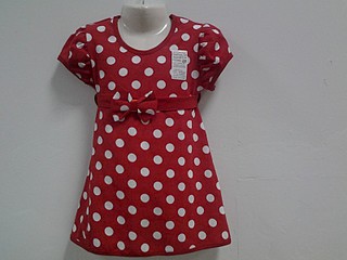 click for enlarge 800 X 600 77.4 Kb picture