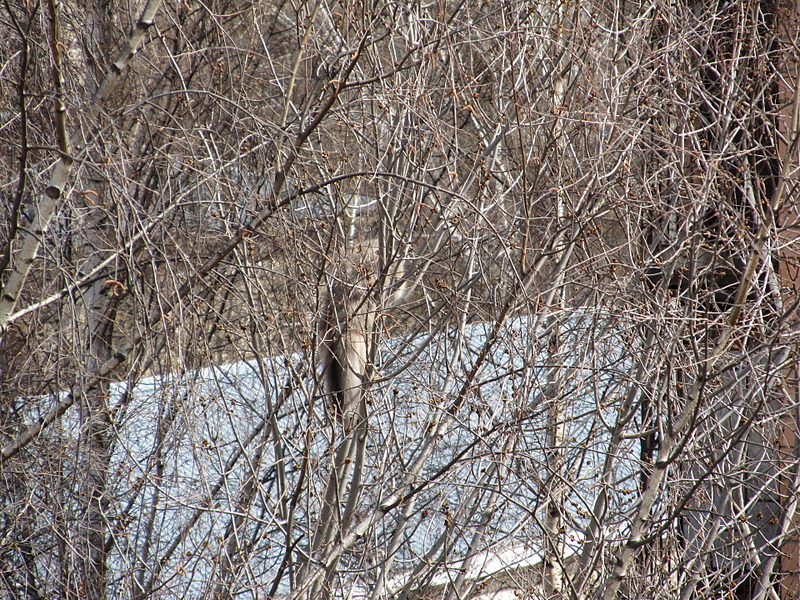 click for enlarge 1920 X 1440 598.3 Kb picture