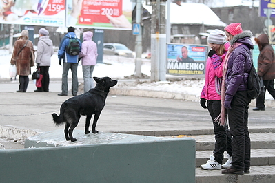 click for enlarge 1280 X 853 968.6 Kb picture