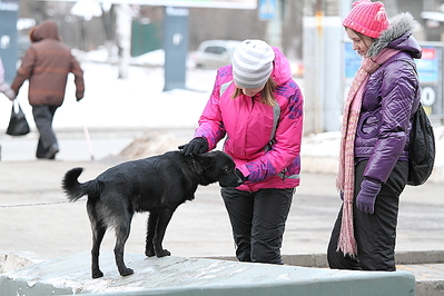 click for enlarge 1280 X 853 941.1 Kb picture