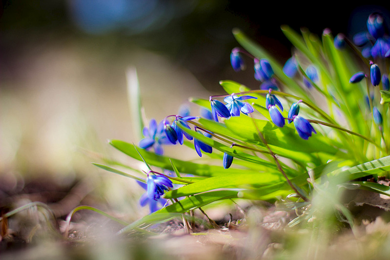 click for enlarge 1000 X 667 441.7 Kb picture