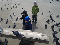 click for enlarge 1600 X 1200 780.7 Kb picture