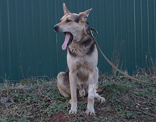 click for enlarge 1767 X 1379 435.5 Kb picture