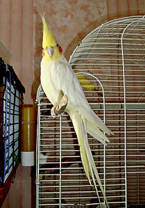 click for enlarge 1084 X 1552 193.6 Kb picture