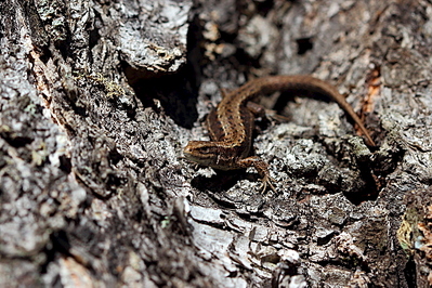 click for enlarge 962 X 641 547.9 Kb picture