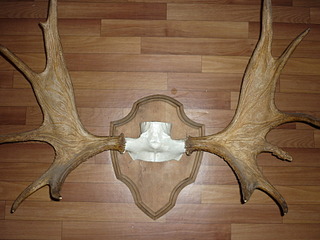 click for enlarge 1920 X 1440 659.8 Kb picture