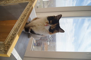 click for enlarge 1920 X 1275 299.9 Kb picture