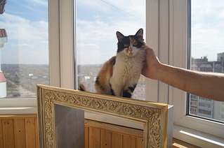 click for enlarge 1920 X 1275 365.2 Kb picture