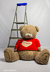 click for enlarge 698 X 1000 262.7 Kb picture