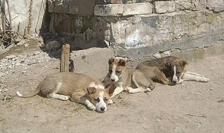 click for enlarge 449 X 266 32.3 Kb picture