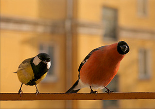 click for enlarge 862 X 606 175.9 Kb picture