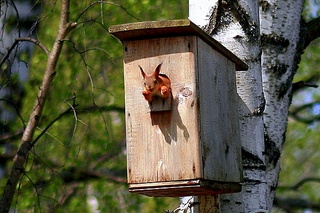 click for enlarge 600 X 400 121.7 Kb picture