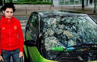 click for enlarge 1502 X 967 175.5 Kb picture