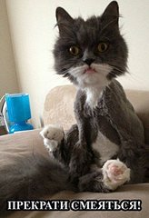 click for enlarge 500 X 731 67.9 Kb picture