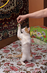 click for enlarge 1920 X 2955 510.7 Kb picture