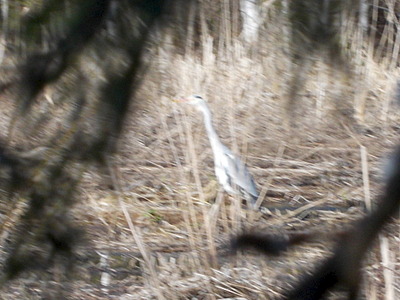 click for enlarge 1920 X 1440 515.8 Kb picture