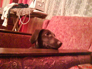 click for enlarge 1600 X 1200 357.6 Kb picture