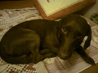 click for enlarge 1920 X 1440 697.8 Kb picture