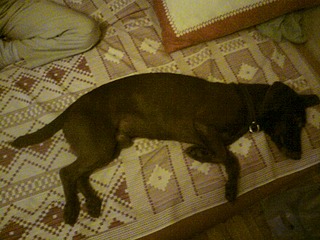 click for enlarge 1920 X 1440 817.7 Kb picture