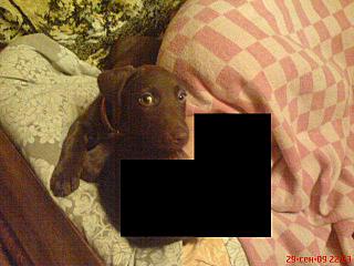 click for enlarge 640 X 480 54.3 Kb picture