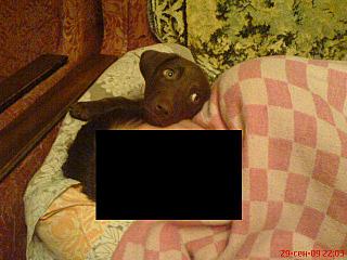 click for enlarge 640 X 480 55.9 Kb picture