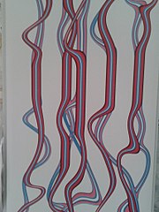 click for enlarge 768 X 1024 114.2 Kb picture