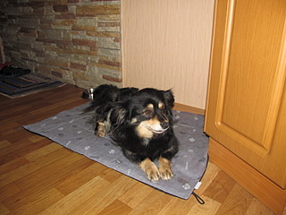 click for enlarge 1600 X 1200 472.0 Kb picture