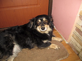 click for enlarge 1600 X 1200 633.2 Kb picture