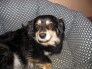 click for enlarge 1600 X 1200 787.5 Kb picture