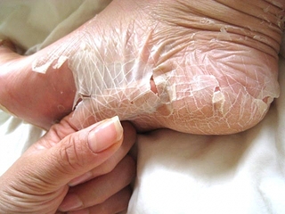 click for enlarge 600 X 450 170.2 Kb picture