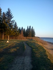 click for enlarge 1920 X 2560 877.0 Kb picture