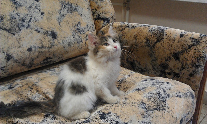 click for enlarge 1920 X 1148 559.3 Kb picture