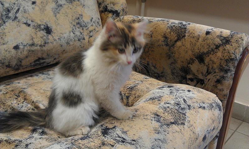 click for enlarge 1920 X 1148 580.9 Kb picture