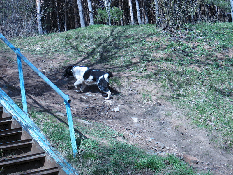 click for enlarge 1920 X 1440 534.7 Kb picture