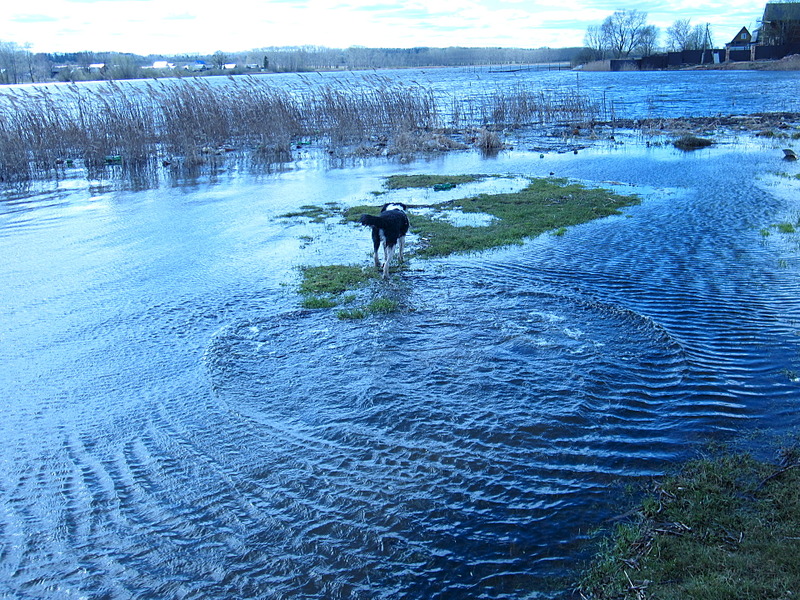 click for enlarge 1920 X 1440 470.7 Kb picture