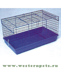 click for enlarge 300 X 350 25.3 Kb picture