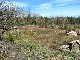 click for enlarge 1280 X 960 501.0 Kb picture