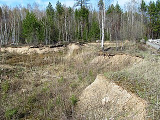 click for enlarge 1280 X 960 570.2 Kb picture