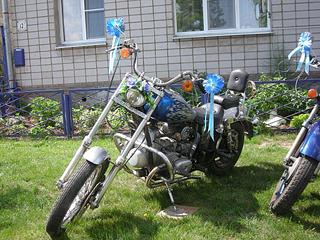 click for enlarge 1024 X 768 204.0 Kb picture