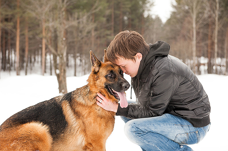 click for enlarge 900 X 600 430.9 Kb picture