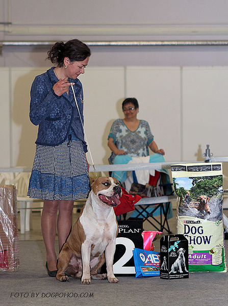 click for enlarge 550 X 738  96.4 Kb picture