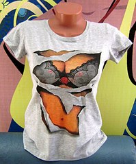 click for enlarge 501 X 604 67.5 Kb picture