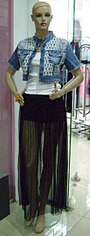 click for enlarge 229 X 604 34.0 Kb picture