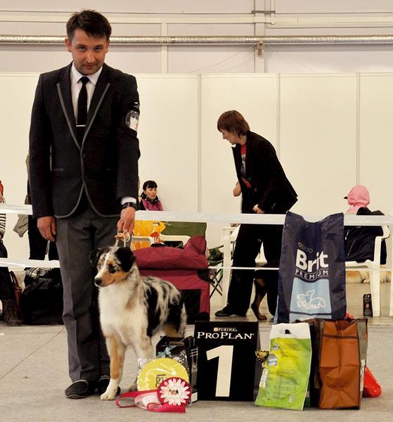 click for enlarge 895 X 960  90.1 Kb picture