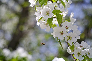 click for enlarge 1920 X 1280 371.5 Kb picture