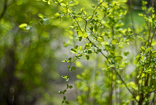 click for enlarge 1920 X 1285 519.9 Kb picture