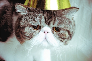 click for enlarge 1920 X 1275 172.2 Kb picture