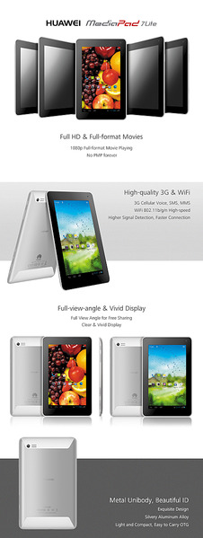 click for enlarge 890 X 2358 396.8 Kb picture